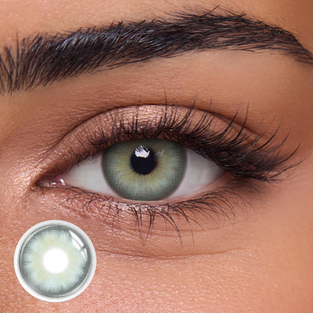 Oasis Jade - 1 Year, 2 lenses