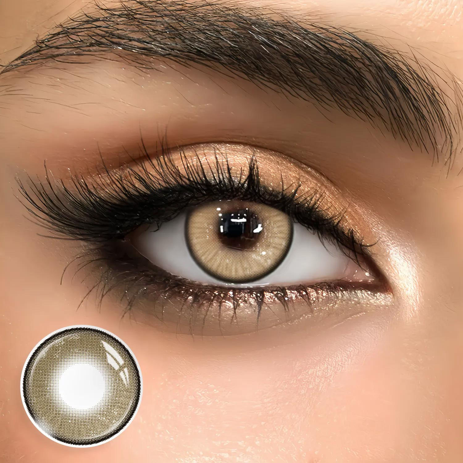 Plume Brown - 1 Year, 2 lenses Colored Contacts - Gleglow