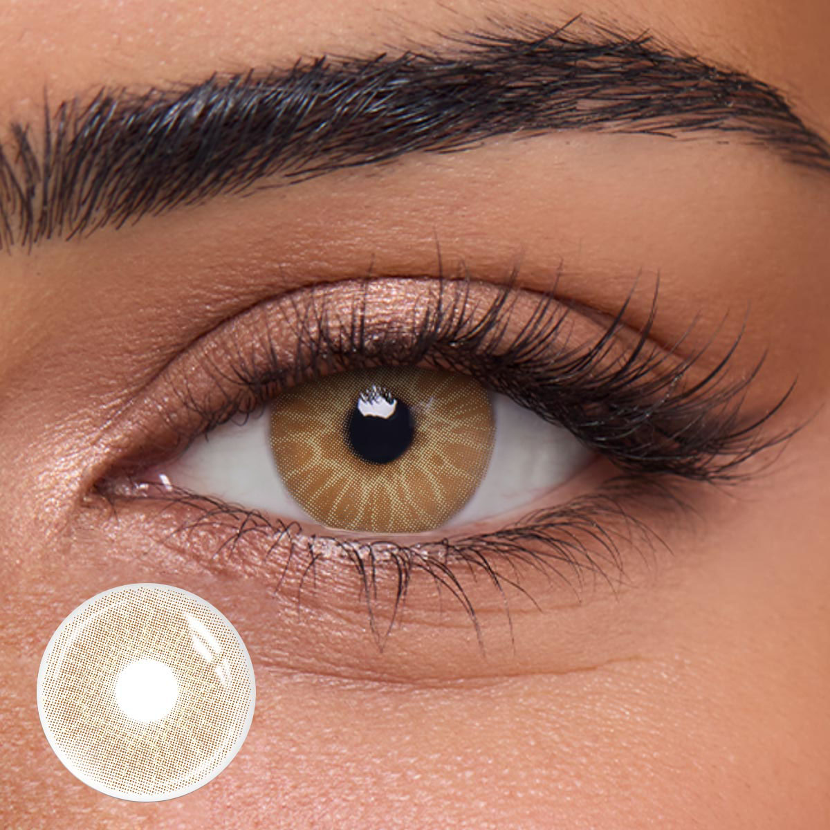 Pollen Brown - 1 Year, 2 lenses Colored Contacts - Gleglow