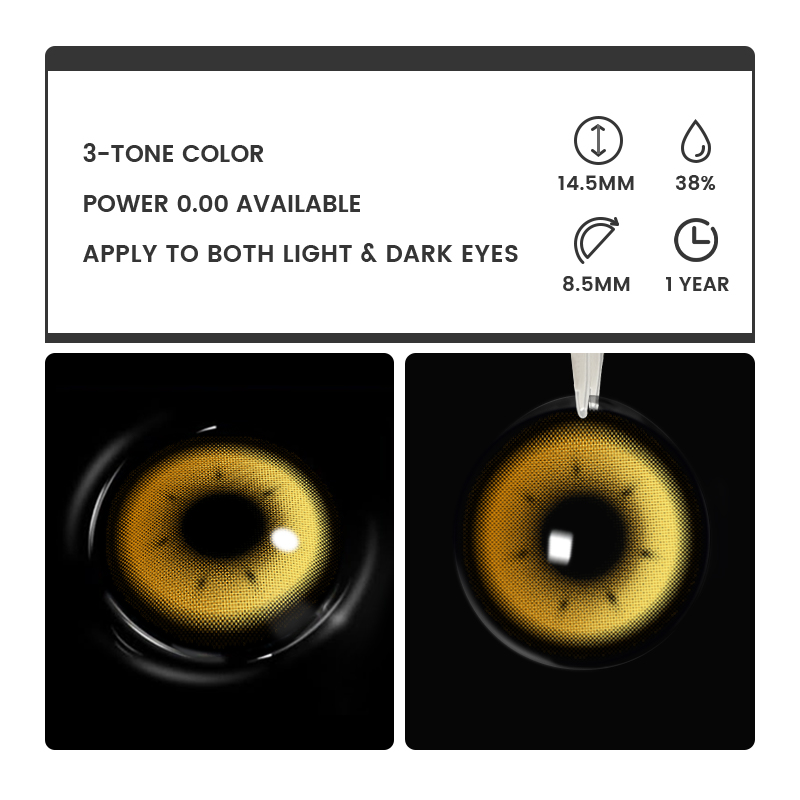 Rhapsody Brown - 1 Year, 2 lenses Colored Contacts - Gleglow