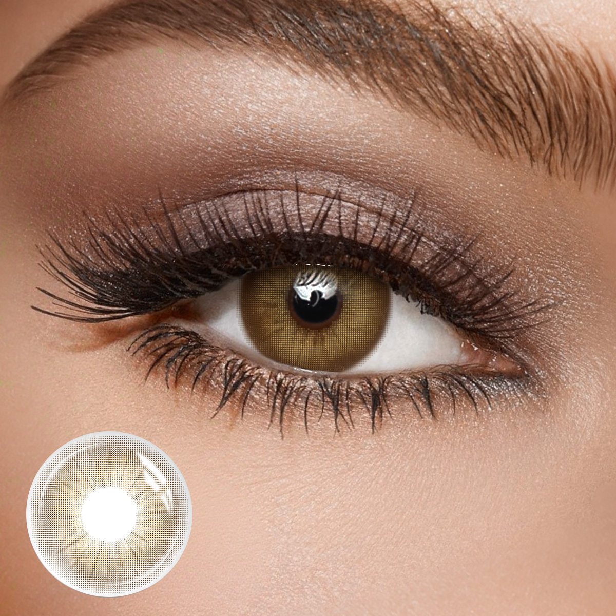 Rome Times Brown - 1 Year, 2 lenses