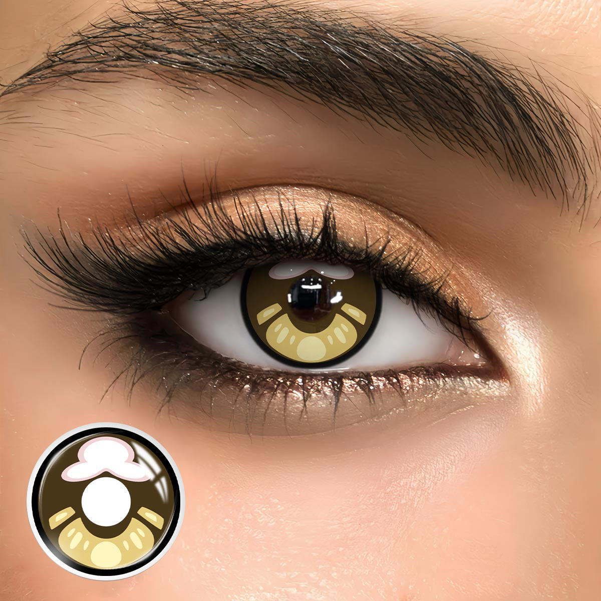 Rustic Brown - 1 Year, 2 lenses