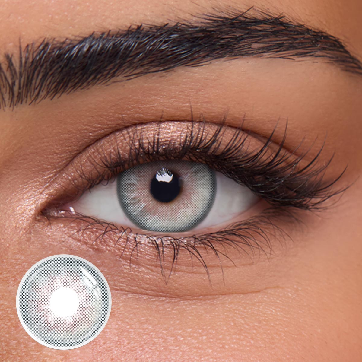 Silver Cat Grey - 1 Year, 2 lenses