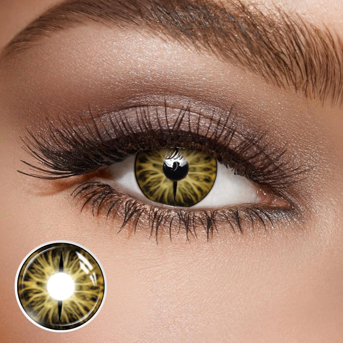 Snake Gaze Brown - 1 Year, 2 lenses