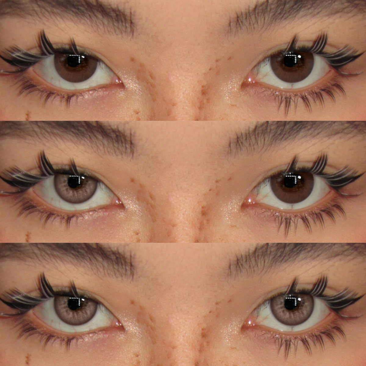 Glacier Brown - 1 Year, 2 lenses