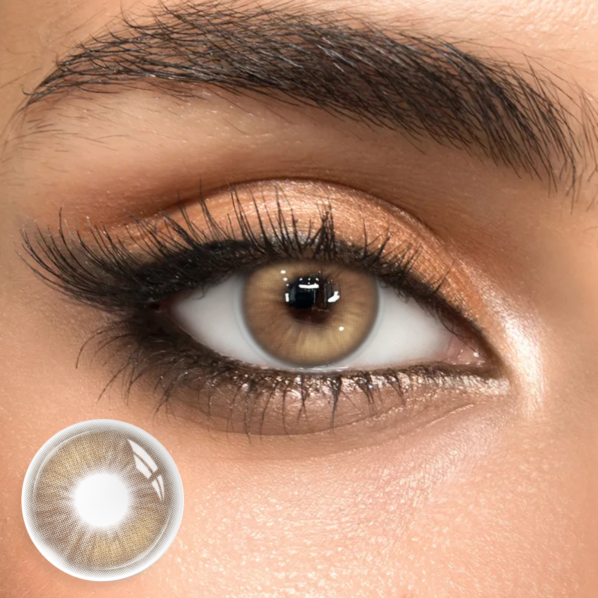 Solis Brown - 1 Year, 2 lenses