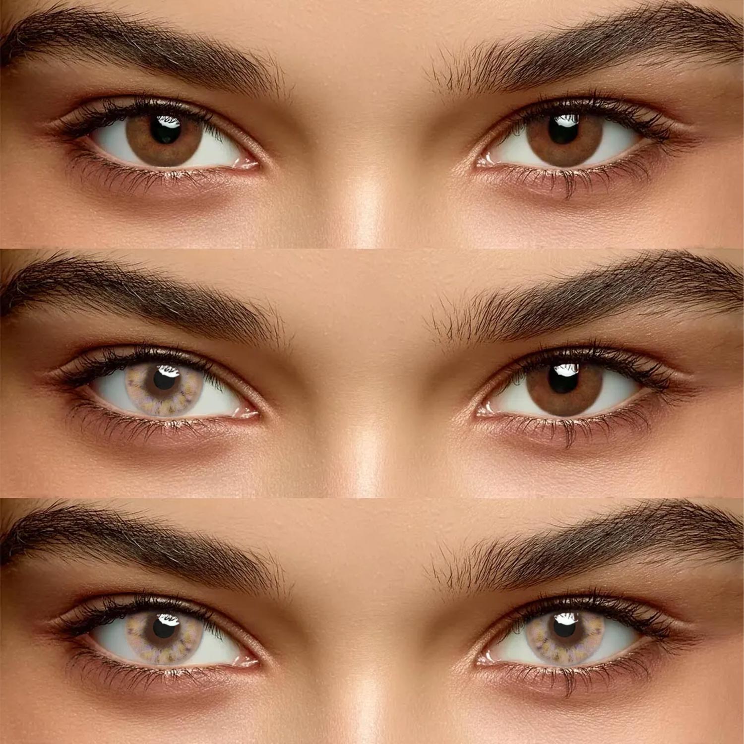 Tulia Brown - monthly, 2 lenses