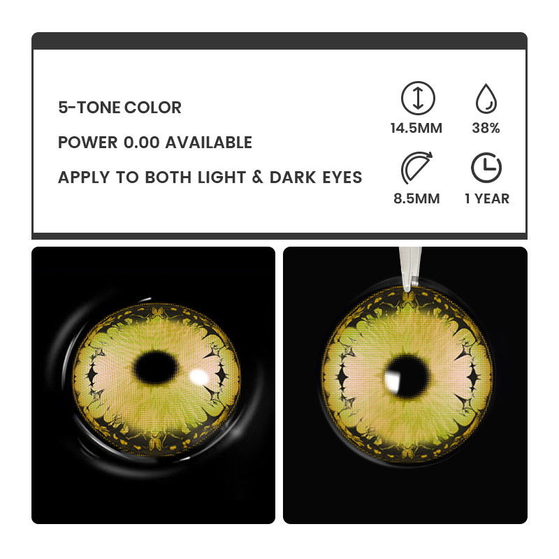 Veila Brown - 1 Year, 2 lenses Colored Contacts - Gleglow