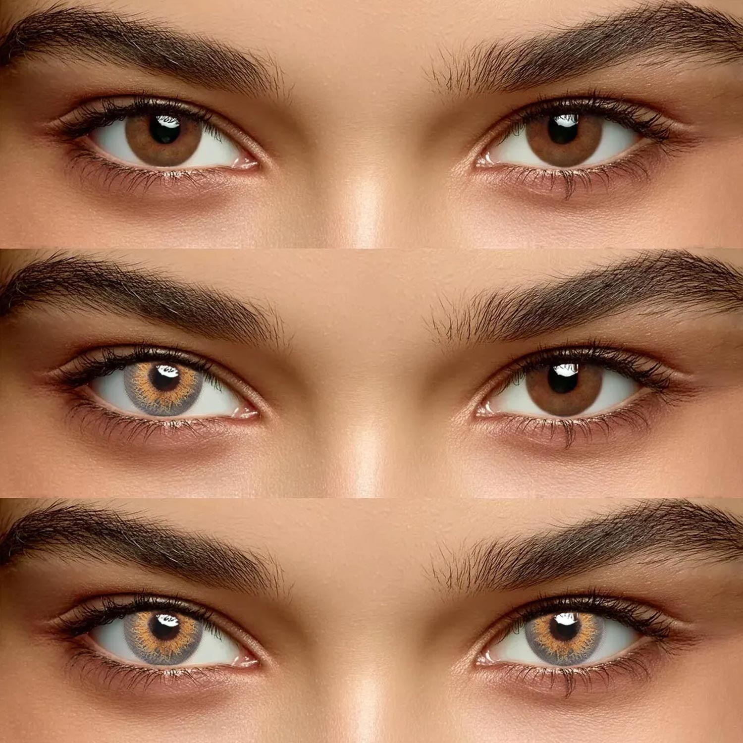 Velvet Brown - 1 Year, 2 lenses