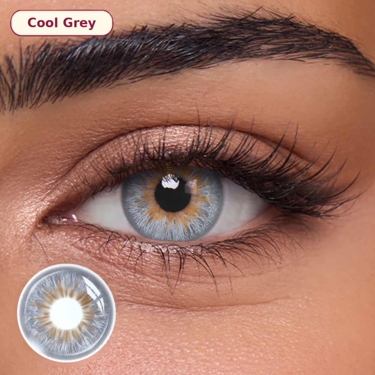 Wolf Gray - 1 Year, 2 lenses