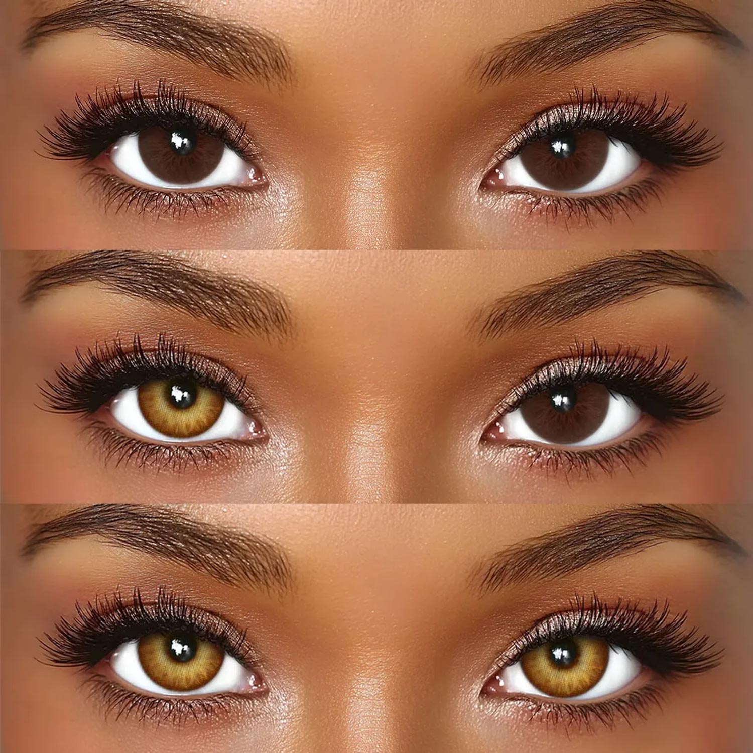 Zeal Brown - 1 Year, 2 lenses