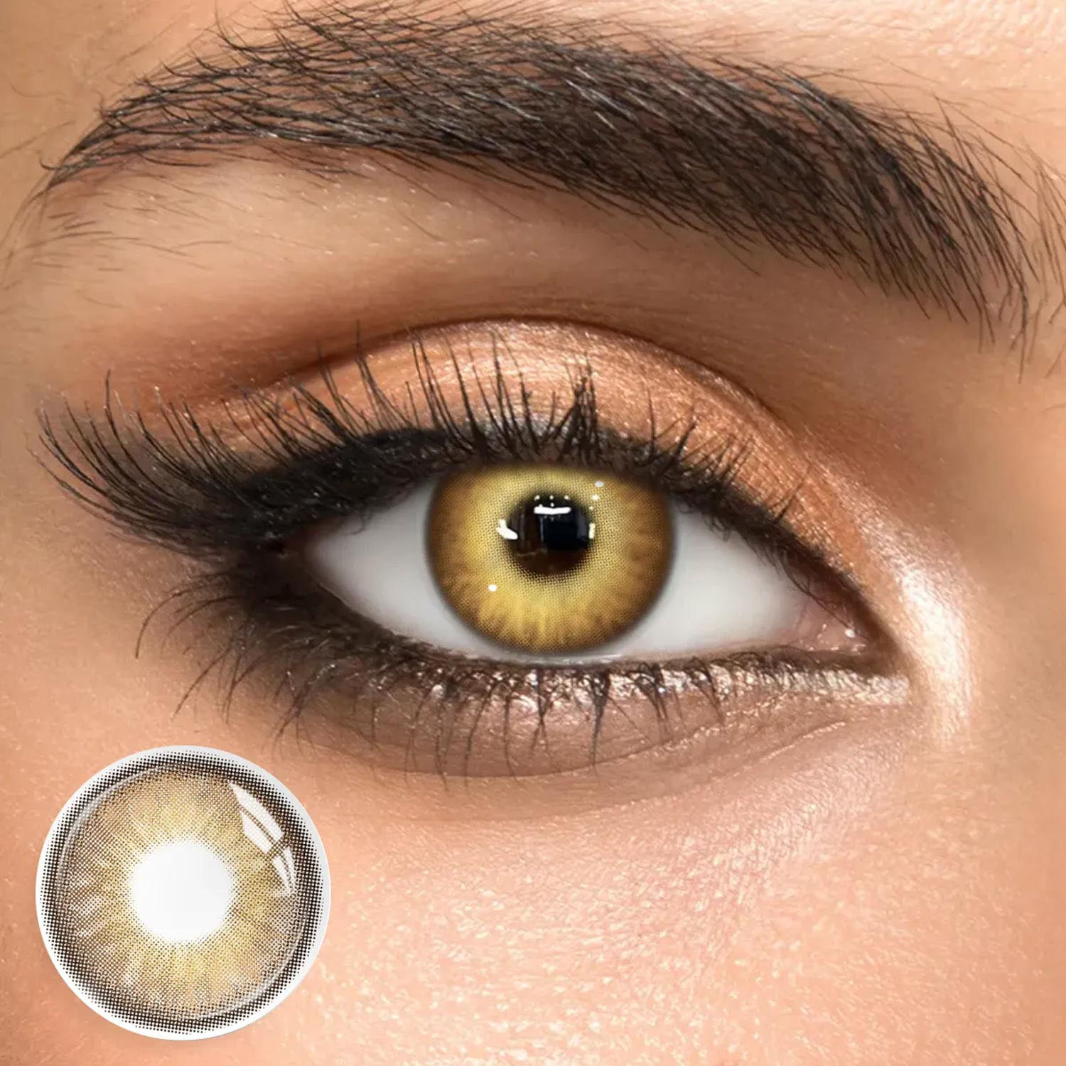 Zeal Brown - 1 Year, 2 lenses