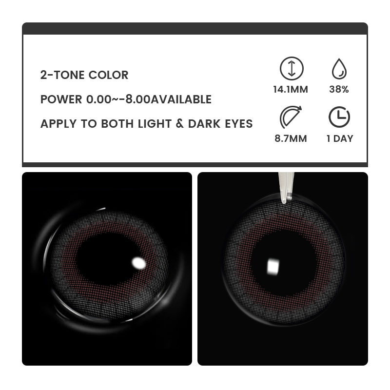 Zesty Grey - 1 Day, 2 lenses
