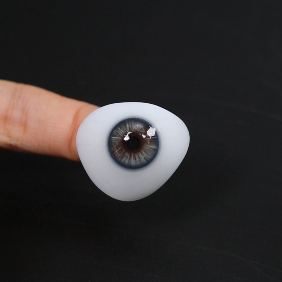 Ebony Blue - 1 Year, 2 lenses