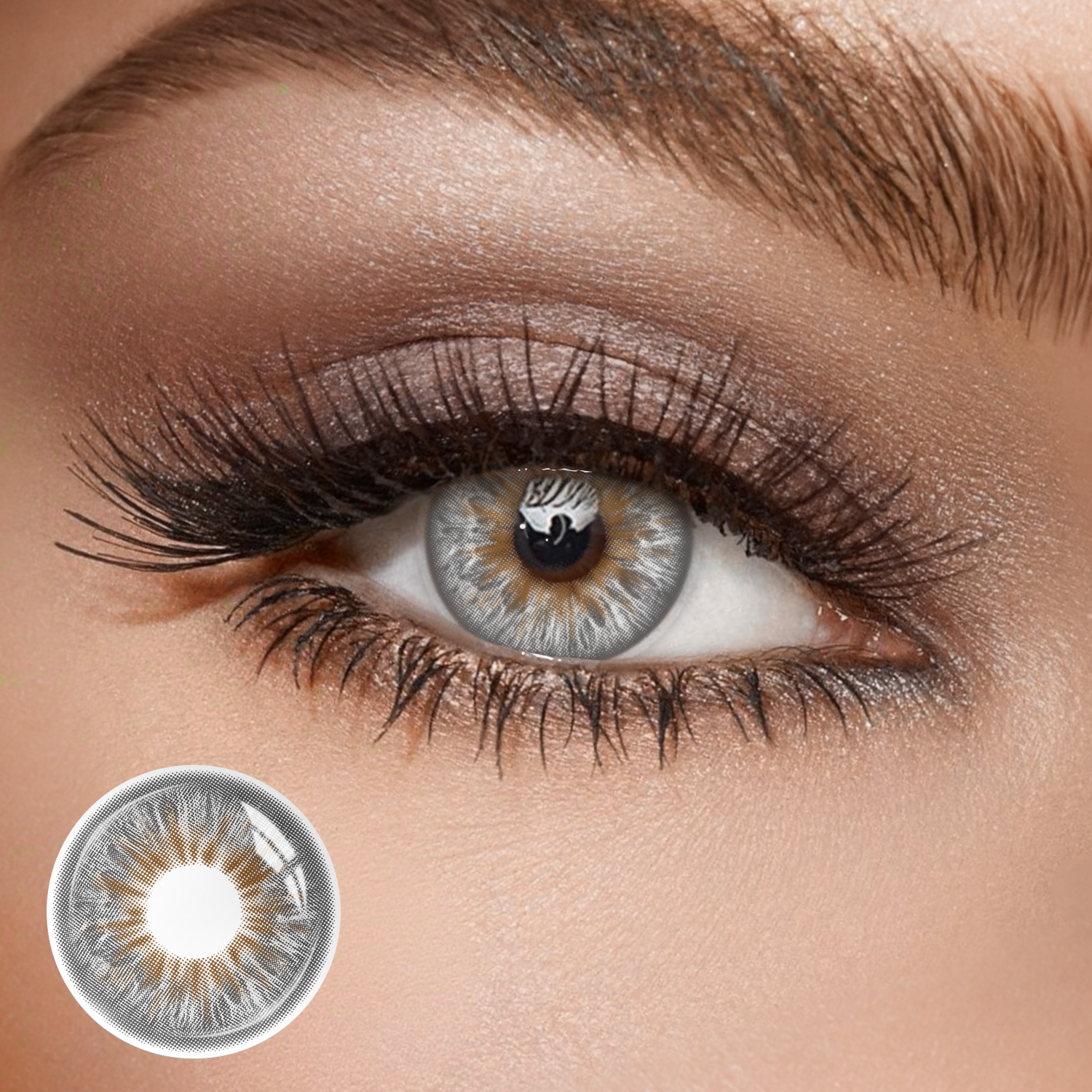 Sepia Grey - 1 Year, 2 lenses