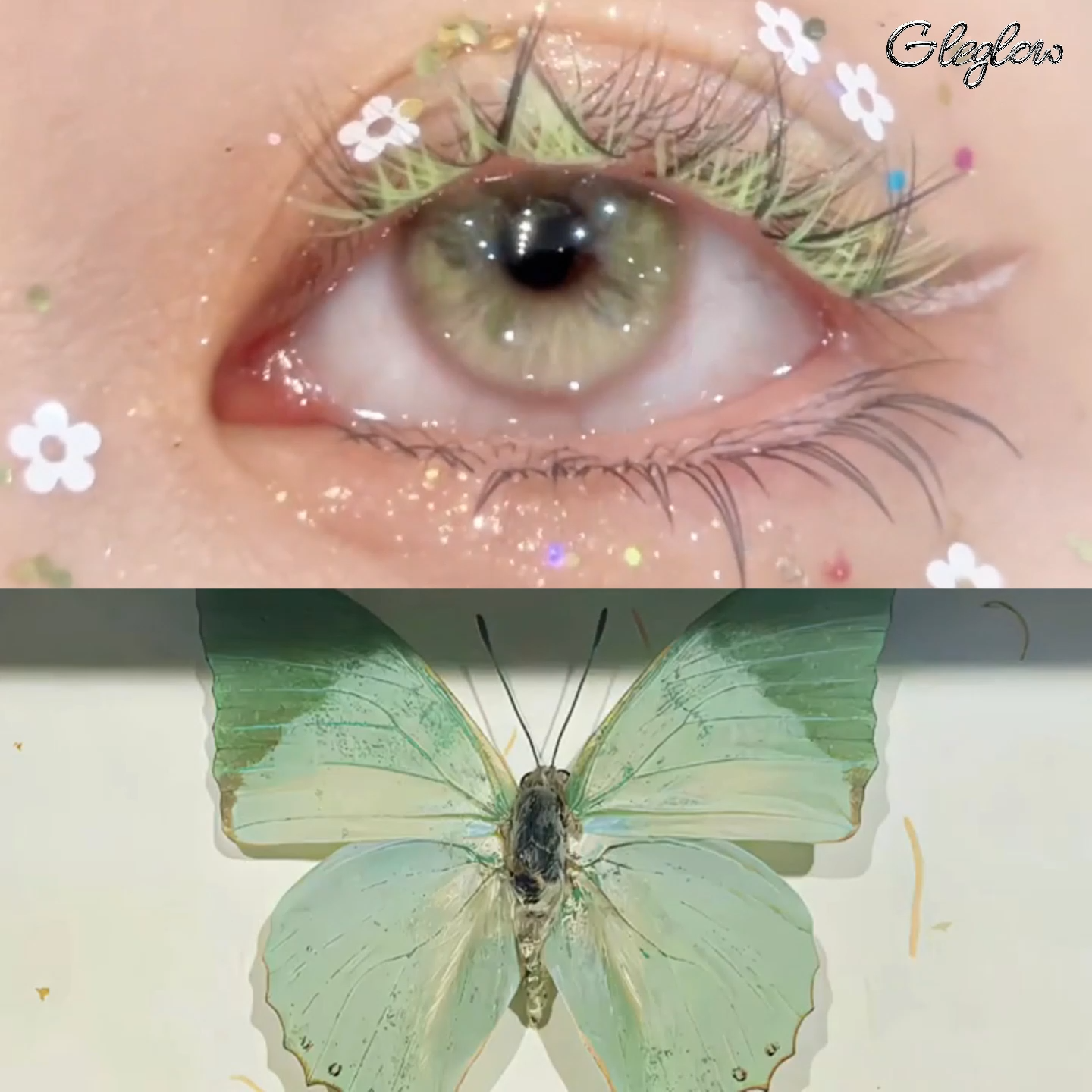 Fluttery Green - 1 Year, 2 lenses
