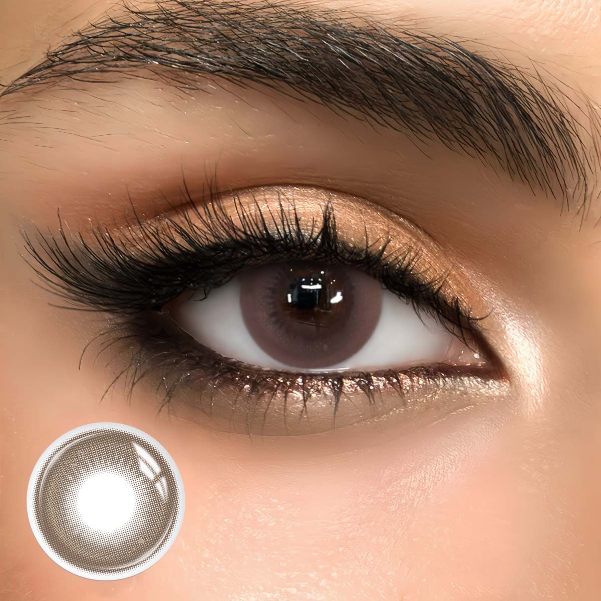 Eventide Chocolate - 1 Year, 2 lenses