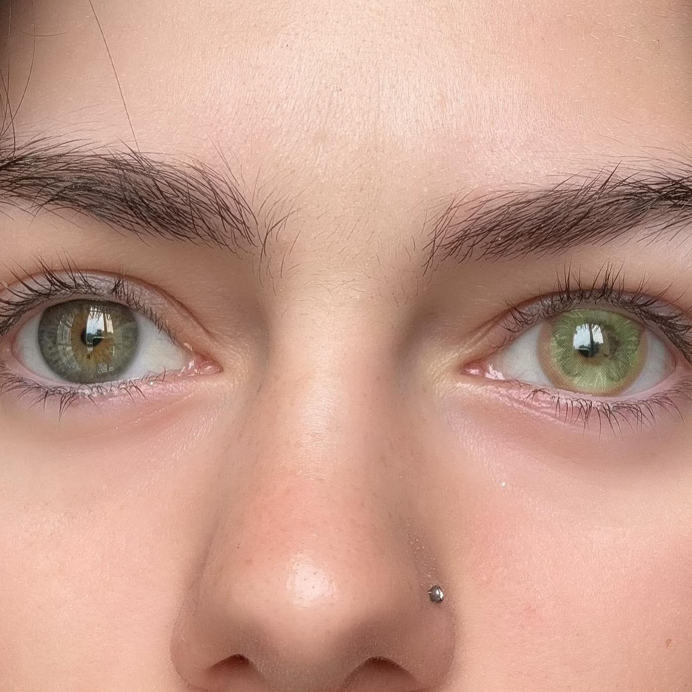 Fluttery Green - 6-month，2 lenses Colored Contacts - Gleglow