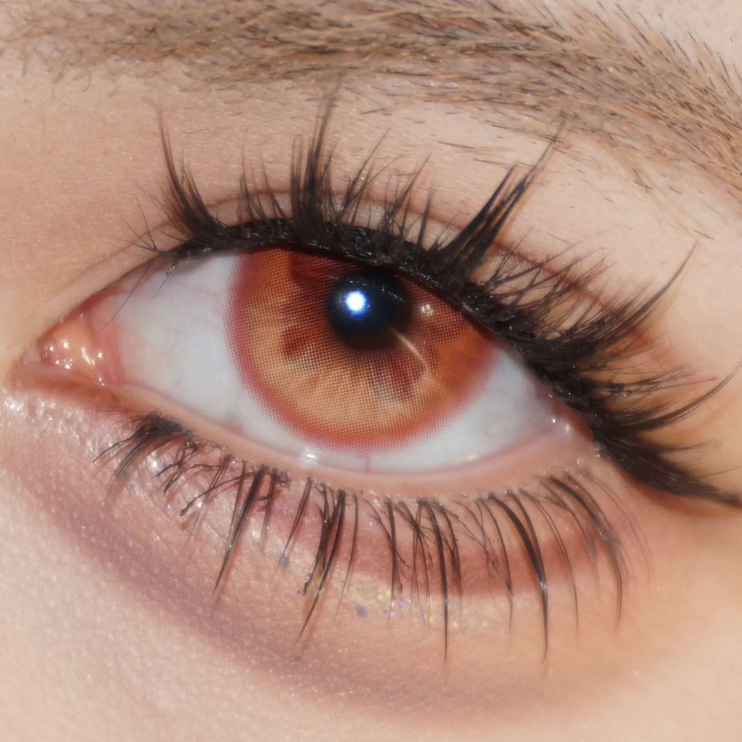 Fluttery Brown - 1 Year, 2 lenses