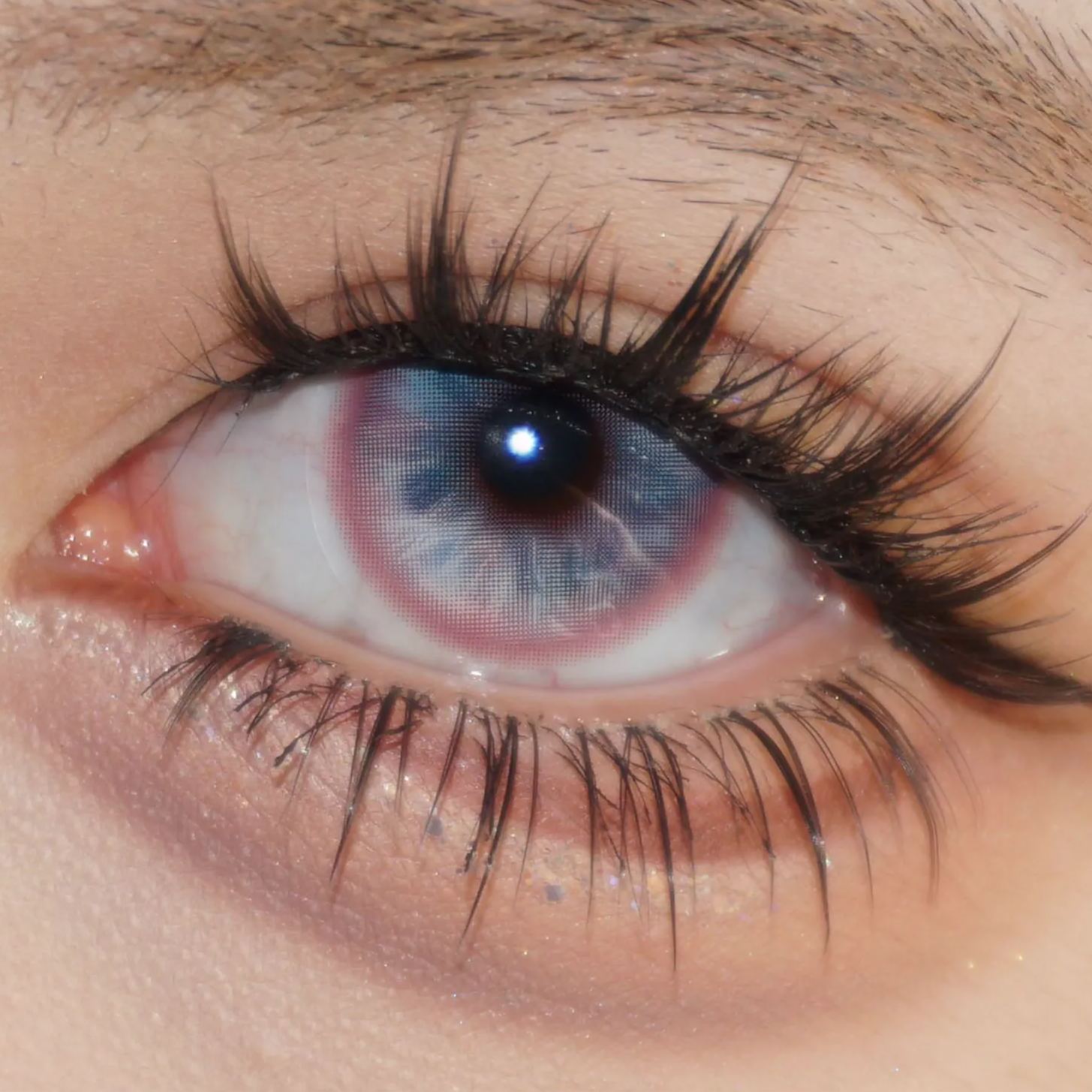 Fluttery Blue-Pink - 1 Year, 2 lenses