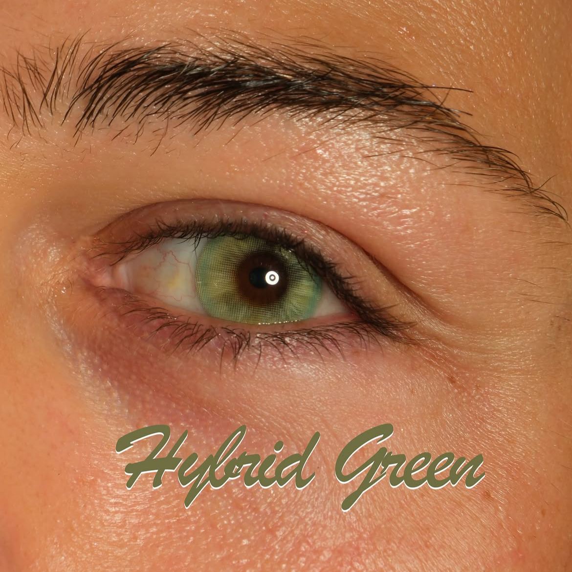 Hybrid Green - 1 Year, 2 lenses
