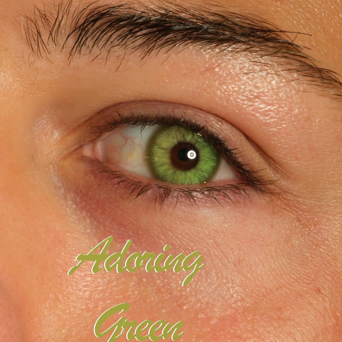Adoring Green - 1 Year, 2 lenses