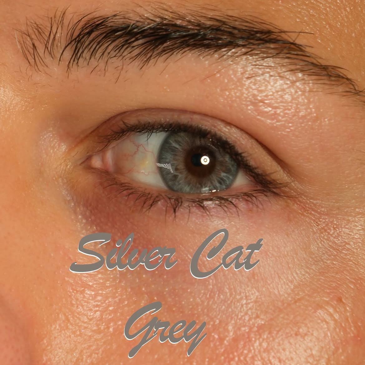 Silver Cat Grey Contact Lenses – 1 Year, 2 Lenses