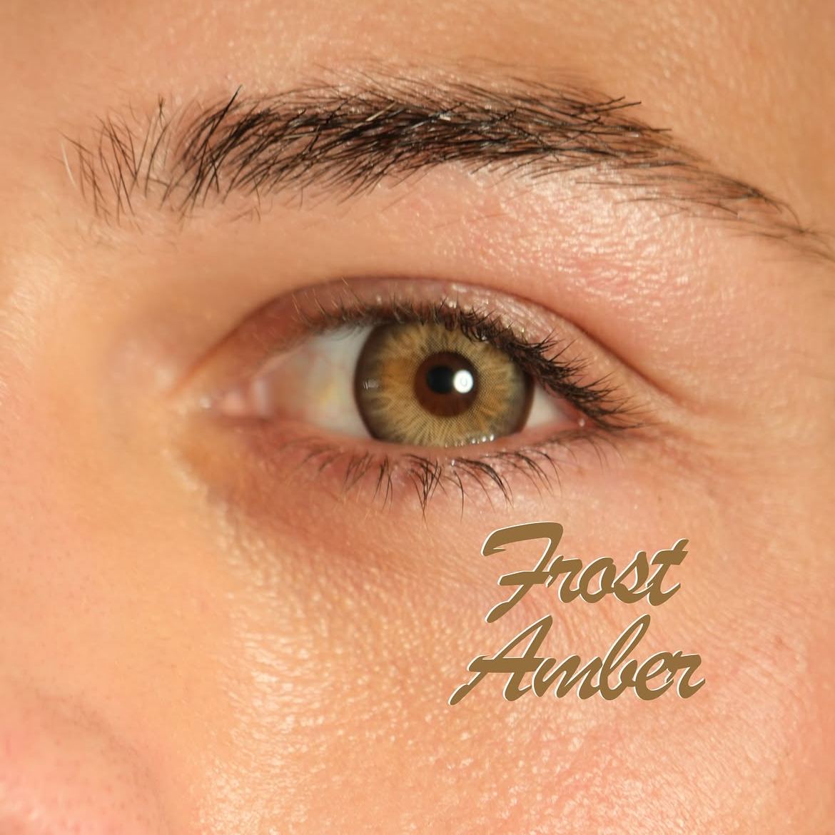 Frost Amber - 1 Year, 2 lenses