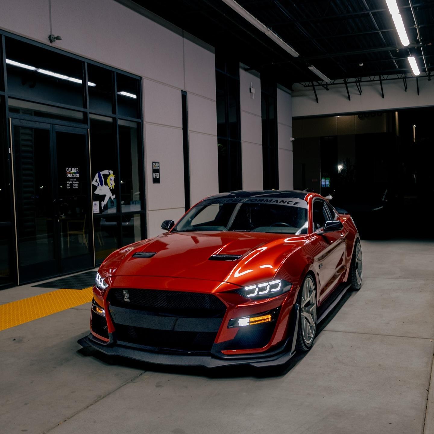 vampire red vinyl wrap