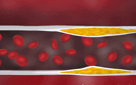 1690442522155025.gif 1680149107296775.gif