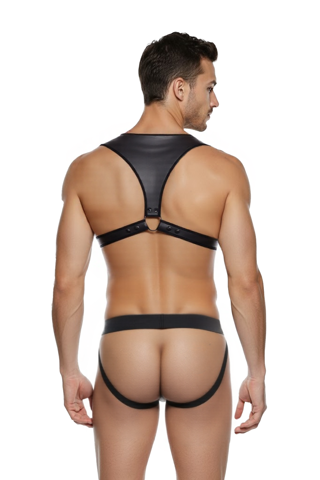 Joylgbt‘s Bulldog Harness & Jockstrap