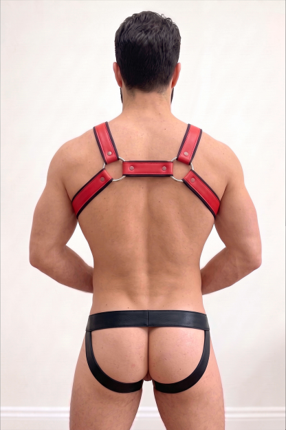  Flame Red/Black PU Harness Set 