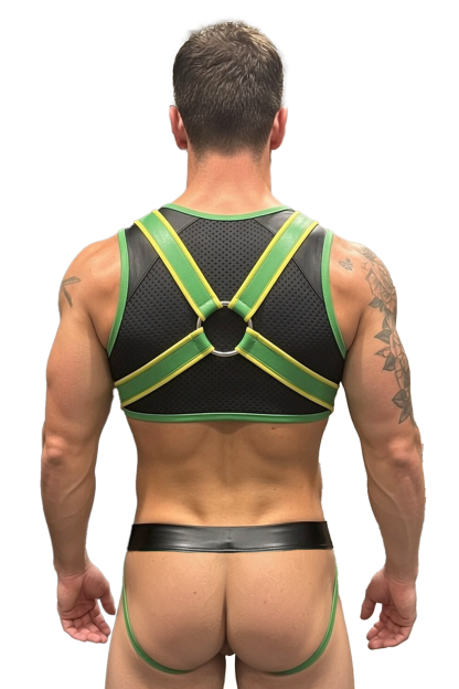 Joylgbt Green Colorblock Mesh Harness Thong Set