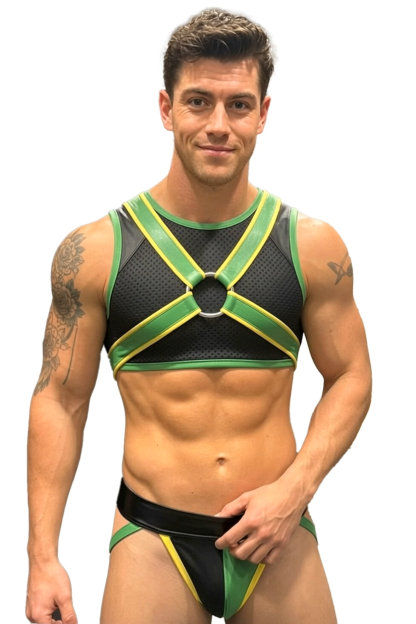 Joylgbt Green Colorblock Mesh Harness Thong Set
