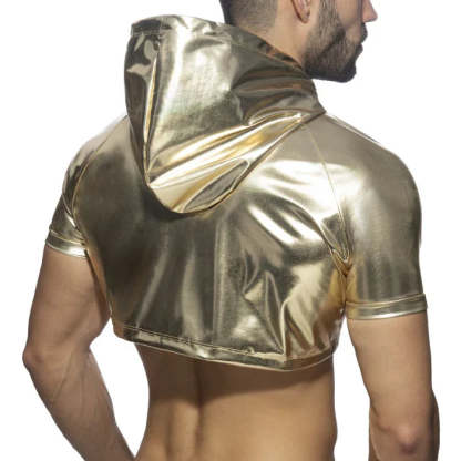 Gold and Silver Crop Top