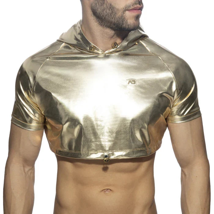 Gold and Silver Crop Top