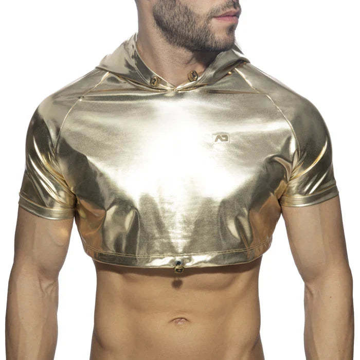 Gold and Silver Crop Top