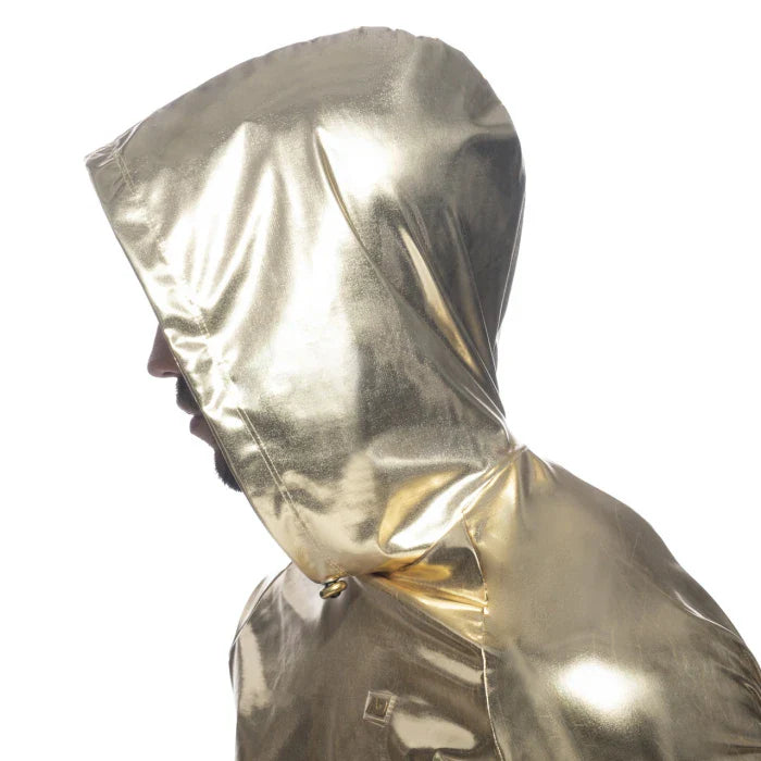 Gold and Silver Crop Top