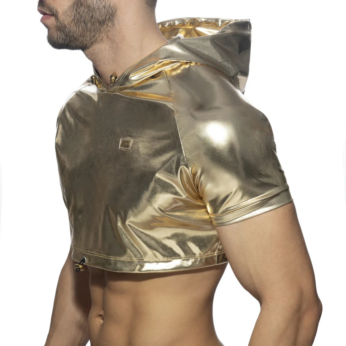 Gold and Silver Crop Top