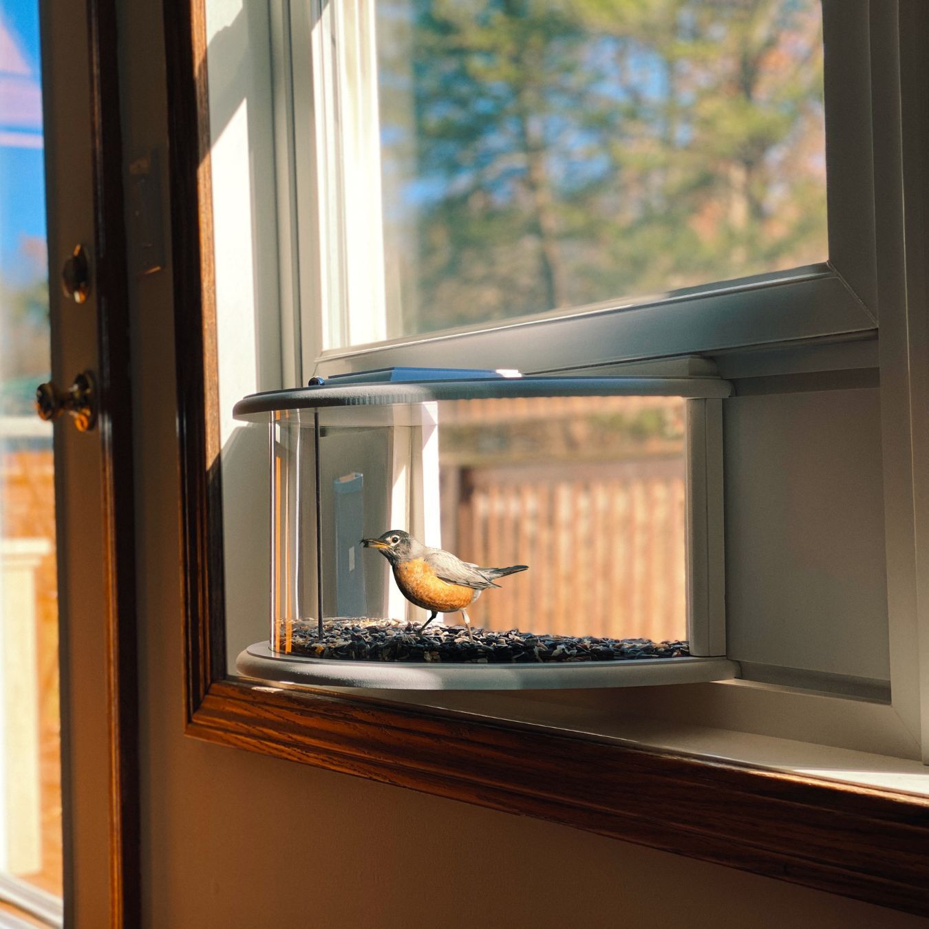 Herethan Window Bird Feeder-Watch Birds from Home
