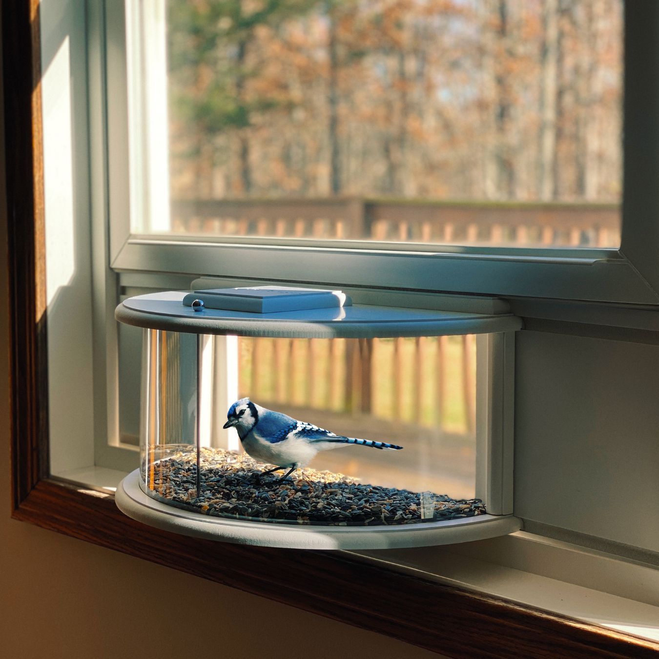 Herethan Window Bird Feeder-Watch Birds from Home