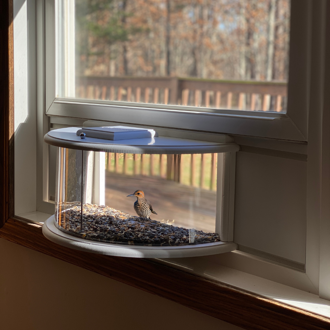 Herethan Window Bird Feeder-Watch Birds from Home