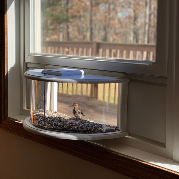 Herethan Window Bird Feeder-Watch Birds from Home