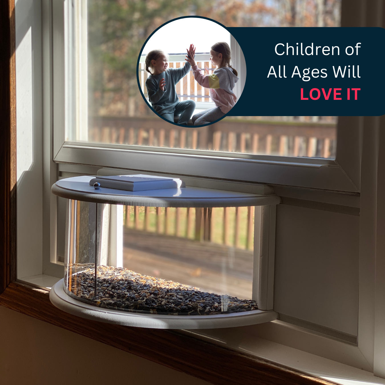 Herethan Window Bird Feeder-Watch Birds from Home