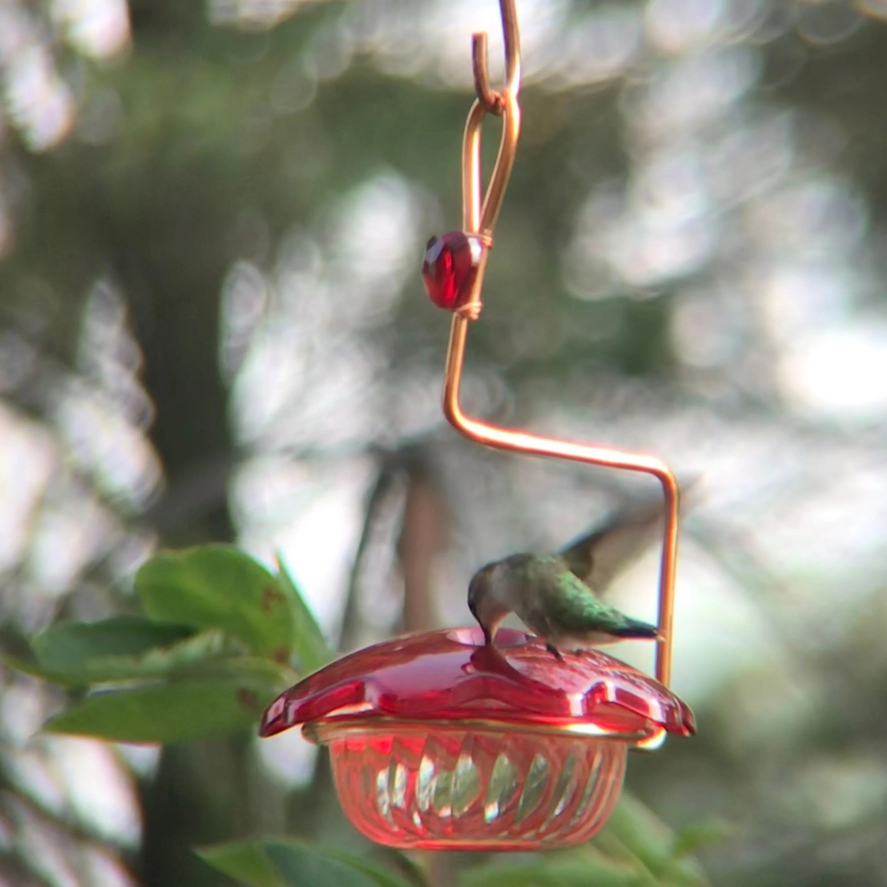 Hummingbird feeder