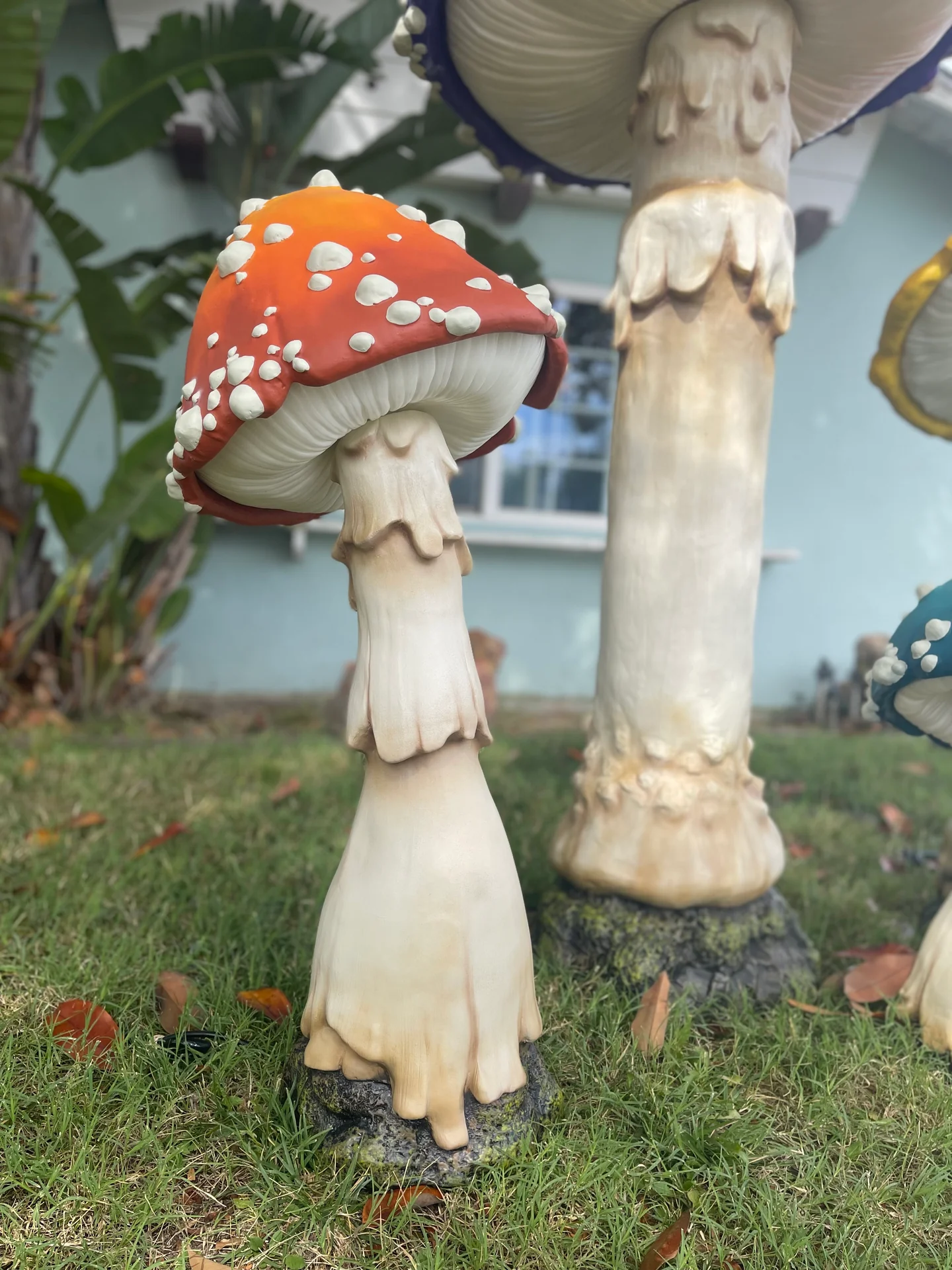 🔥Last Day 70% OFF🔥Glowing Mushroom