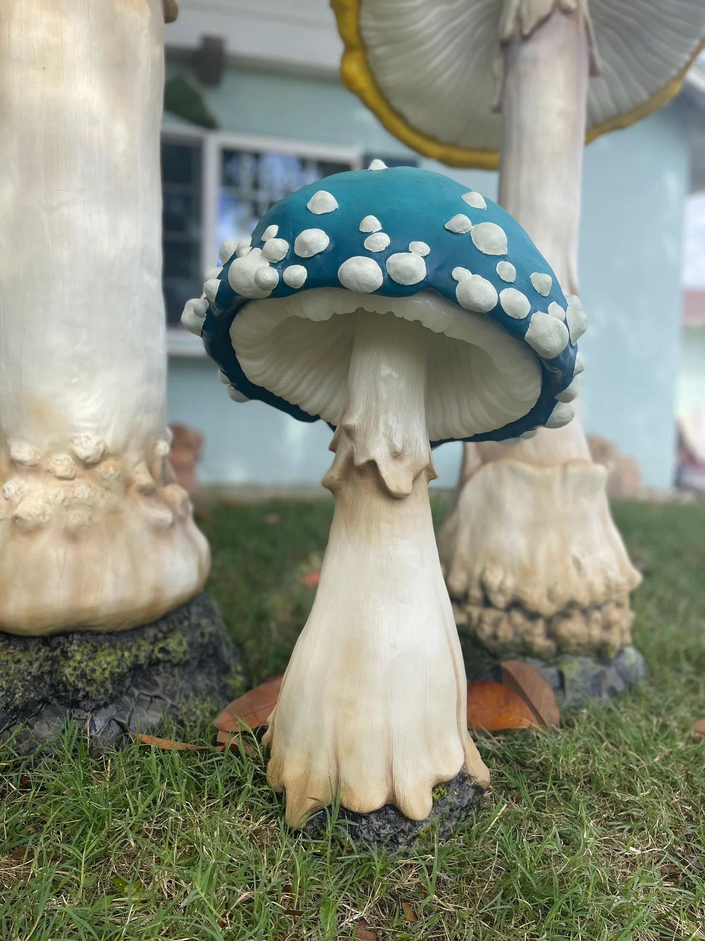 🔥Last Day 70% OFF🔥Glowing Mushroom