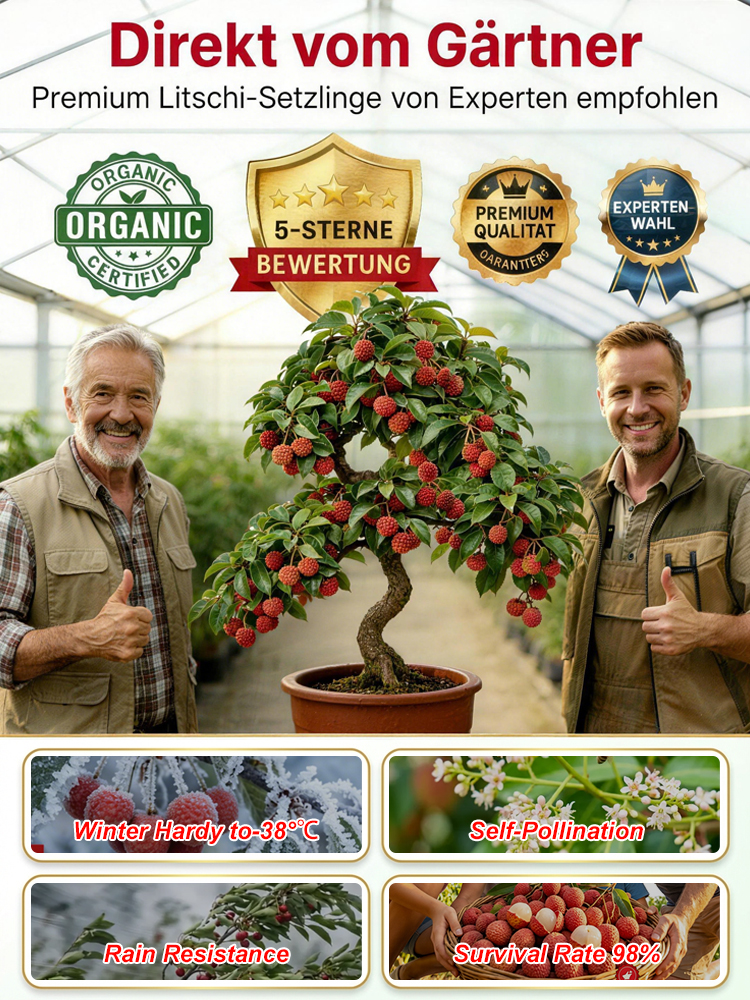 【Die Sensation der IPM Essen】Goldmedaillen-Sieger: Winterharter Premium-Litschibaum (-38°C)| Bis zu 15kg Ernte bereits diesen Juni.