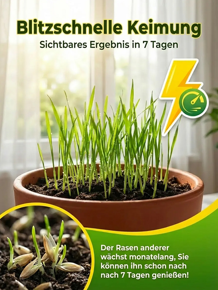 Profi-Saatgut: Standard wie auf dem Golfplatz🌿Der immergrüne "Bundesliga"-Rasen für -20°C Winter, extreme Sommerhitze (Blitzkeimung in 7 Tagen)