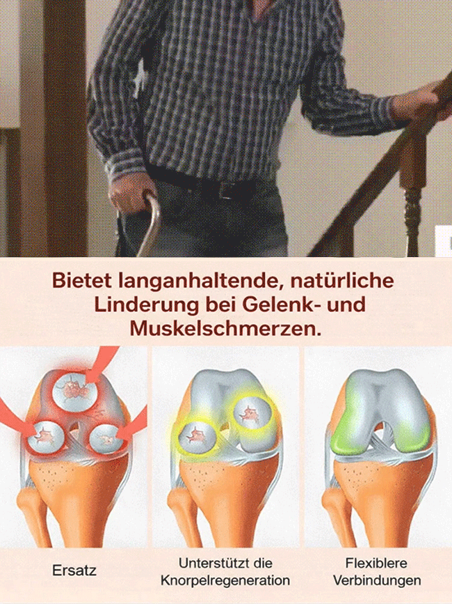 [1+1 GRATIS Aktion] 100% Anwachsgarantie–Erntebereit ab Mai | Winterhart & Selbstfruchtend！